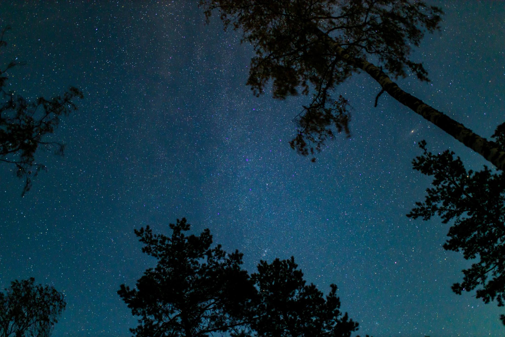 Quando si spegne la luce: la luce delle stelle. Un'illuminazione senza  confini - REImmobiliare