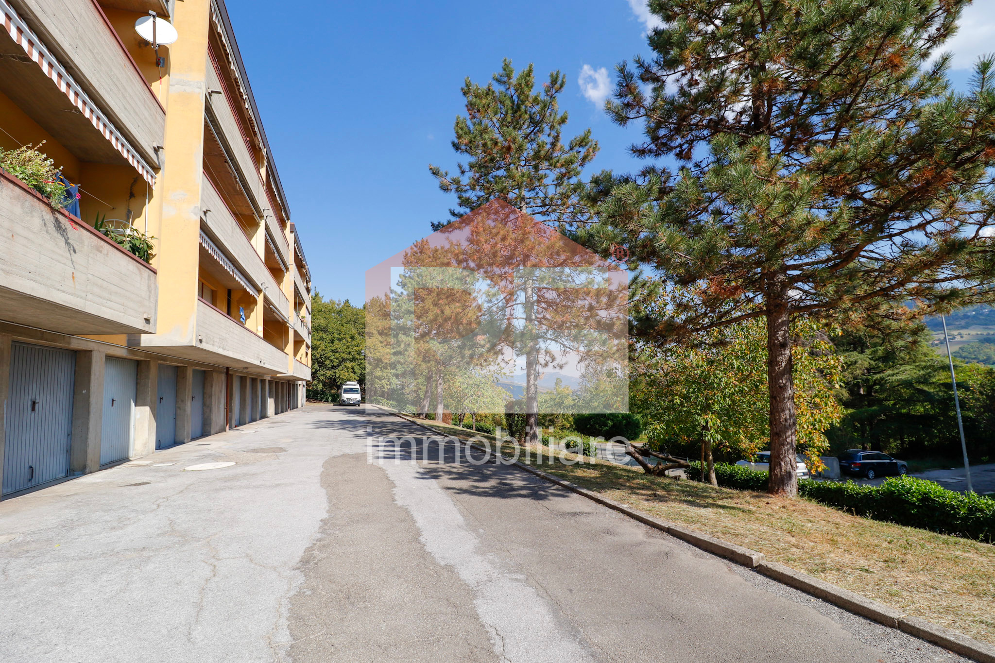 77-_MG_8973
